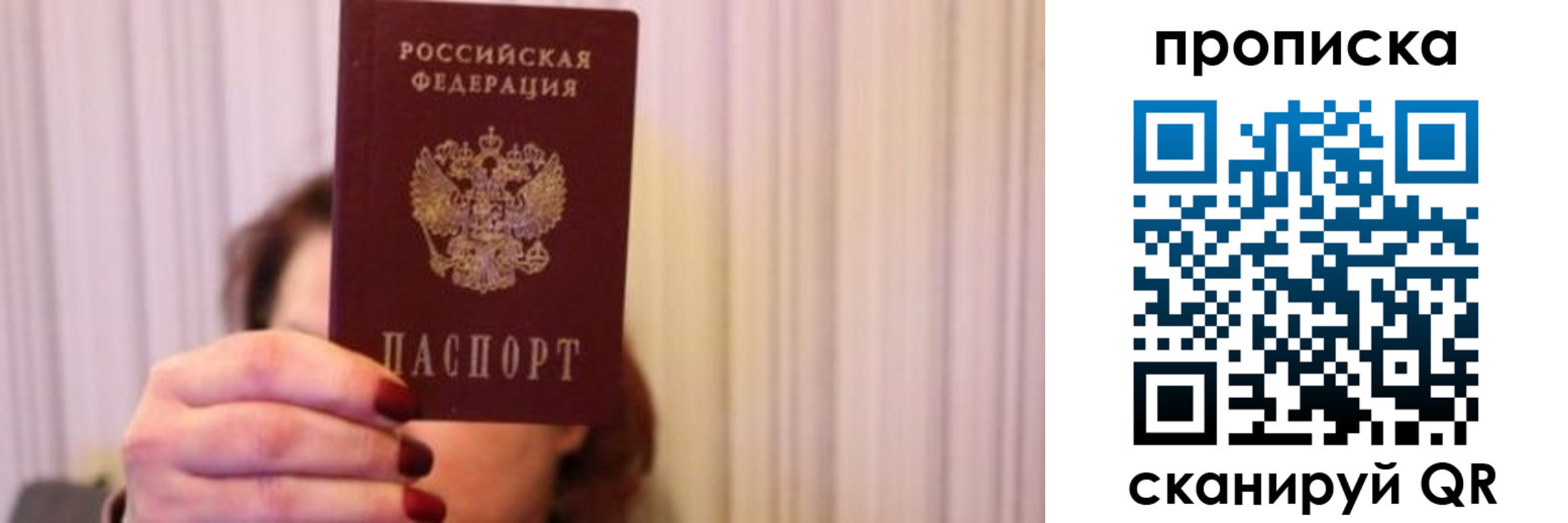 прописка поиск в Александровске