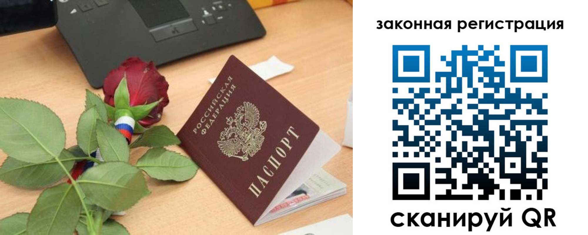 прописка в Александровске