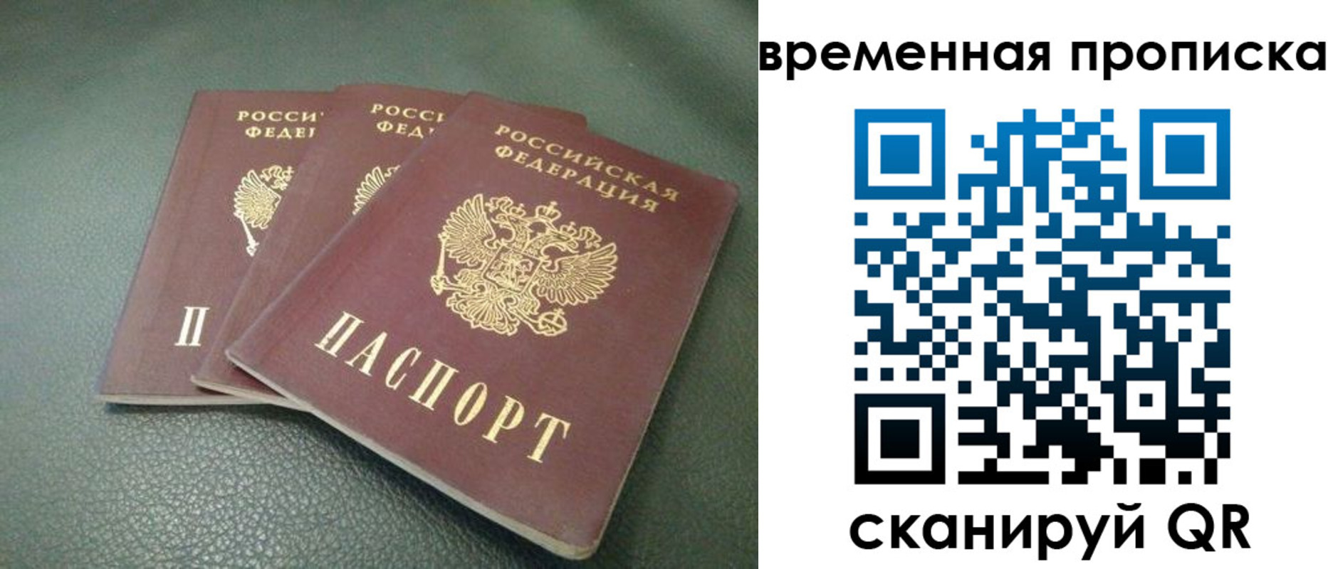 прописка гарантия в Александровске